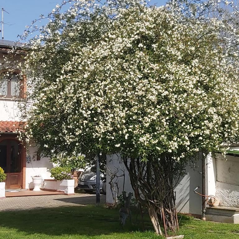 Villa FioccoMare - Apartamento con vistas a la piscina - 9