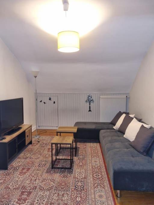 Appartement centre-ville (Chez Antoine) - Appartamento con 2 Camere da Letto - 1