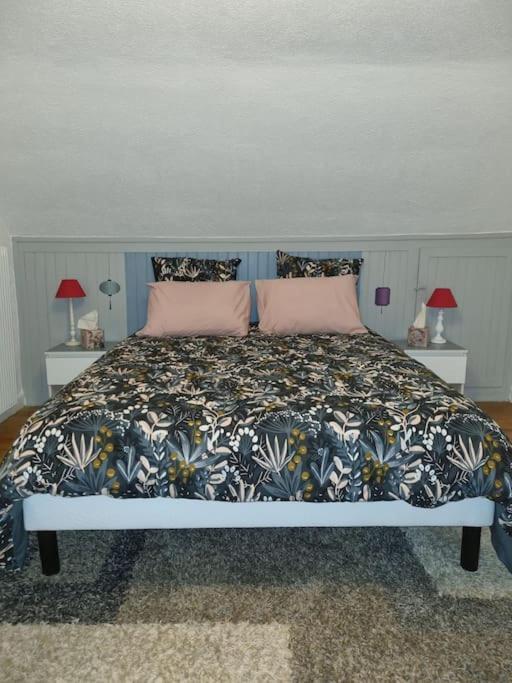Appartement centre-ville (Chez Antoine) - Appartamento con 2 Camere da Letto - 8