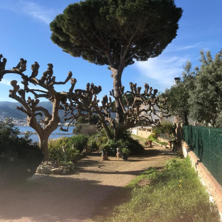 Stunning sea views from luxury 4 bed apartment close to beach at Cap Ras - Apartamento de 2 dormitorios - 10
