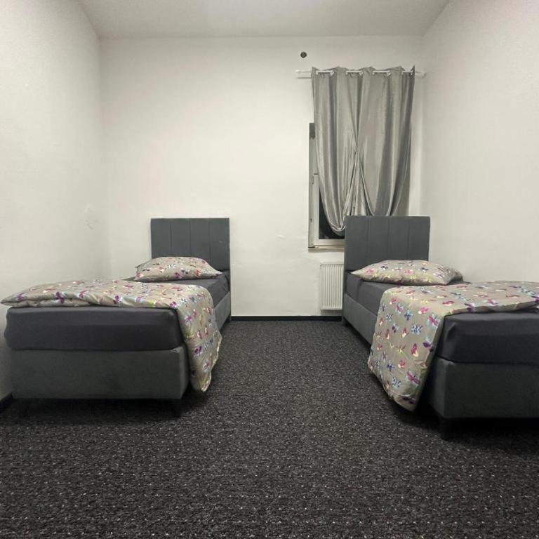 Apartments - Appartamento - 2