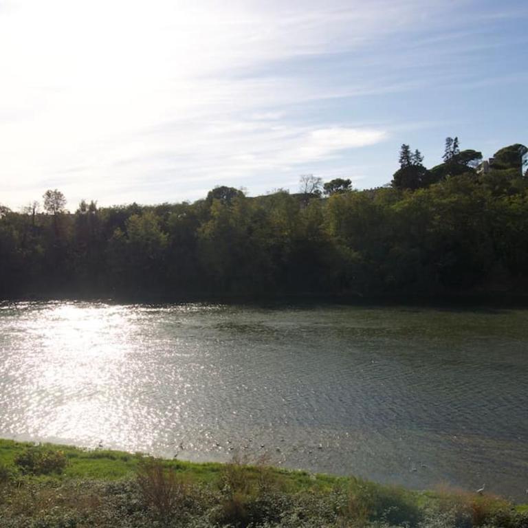 *T2*Vue Garonne*Piscine*Garage* - Appartement 1 Chambre - 16