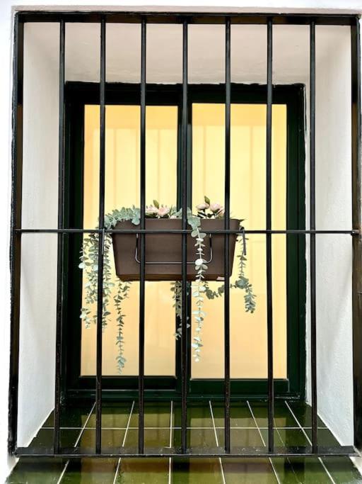 Auxiliadora Luxury - Apartment - 21