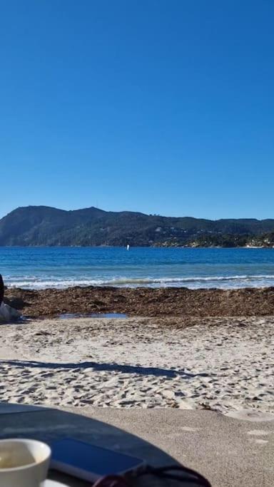 Rez-de-jardin sous pins et plage - Apartment mit 1 Schlafzimmer - 15