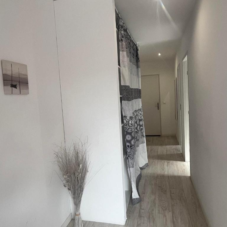 Charmant T2 calme , climatisé et piscine privée - Appartement 1 Chambre - 9