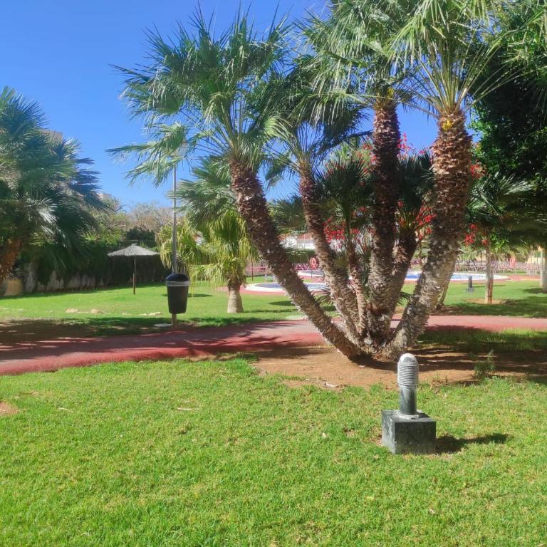 LUZ DEL MEDITERRÁNEO - Apartamento de 3 dormitorios - 16