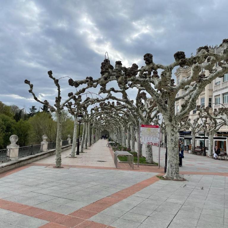 EL FAROLILLO DE LA CATEDRAL VIVIENDA DE USO TURISTICO VUT 9/251 - Apartamento de 1 dormitorio - 24