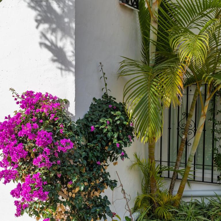 Las Palmas 17B Oasis Properties - Apartment with Sea View - 25