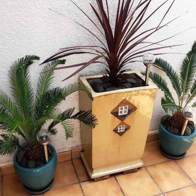 Appartement T3 pour 6 pers, terrasse, proche plage - FR-1-607-1 - Appartement (6 Adultes) - 25