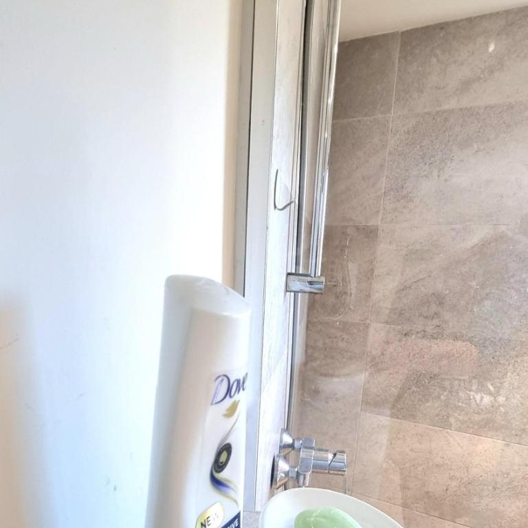 Tivat lovely cosy studio - Apartman sa 1 Spavaćom Sobom - 12