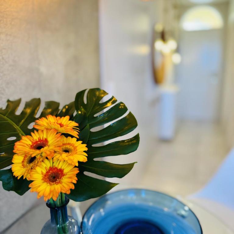 Costa Adeje Orlando Tenerife Sea View - Pool - AC - One-Bedroom Apartment - 42