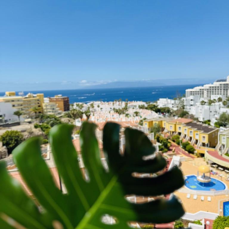 Costa Adeje Orlando Tenerife Sea View - Pool - AC - One-Bedroom Apartment - 53