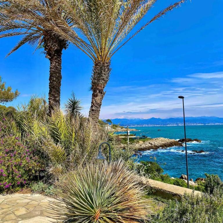 Cap d’Antibes Sea view villa - Villa - 24