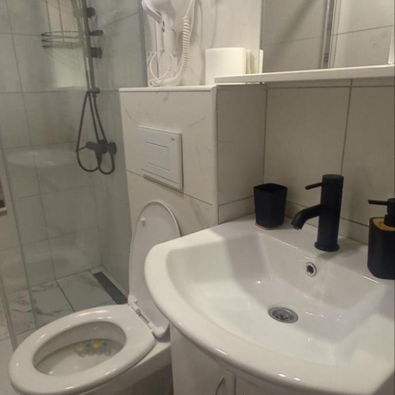 Apartman Mila 23 Vrnjačka Banja - Porodični Studio - 5