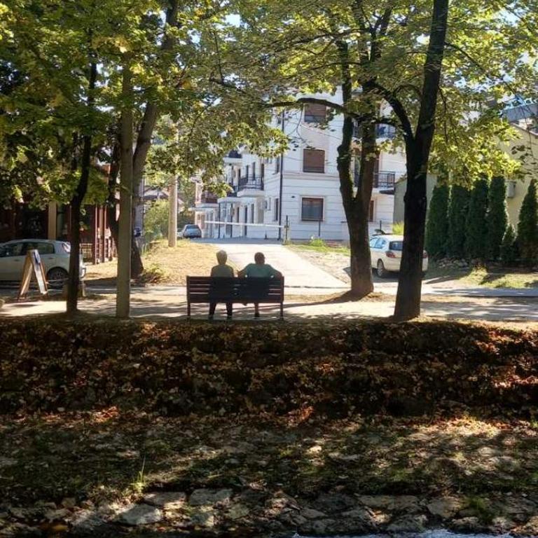 Apartman Mila 23 Vrnjačka Banja - Porodični Studio - 8