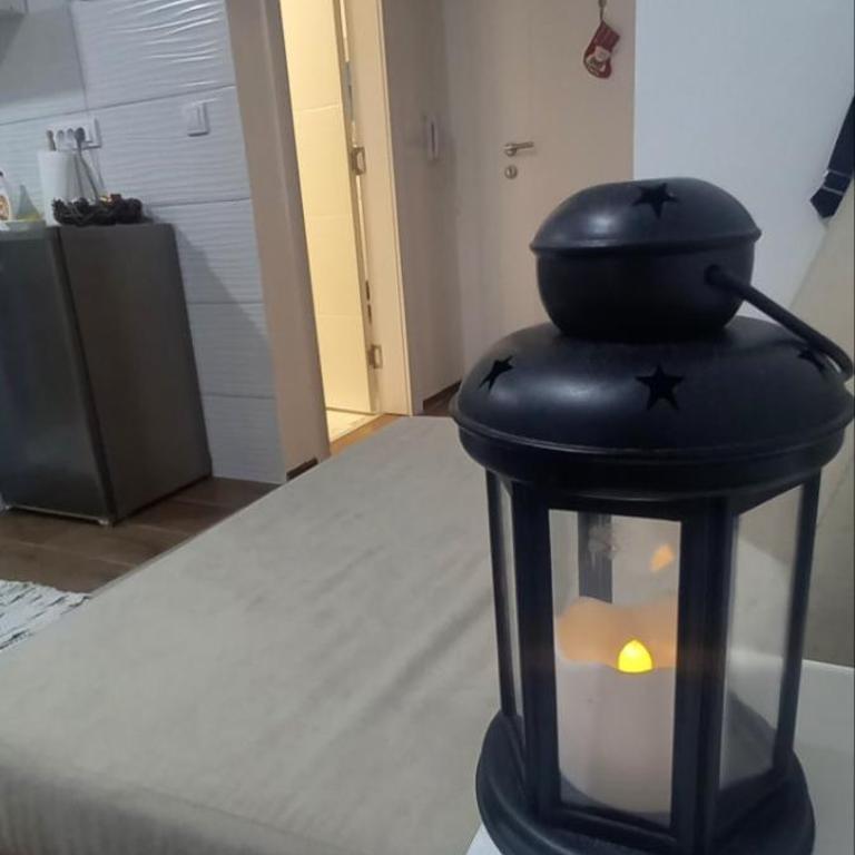 Apartman Mila 23 Vrnjačka Banja - Porodični Studio - 9