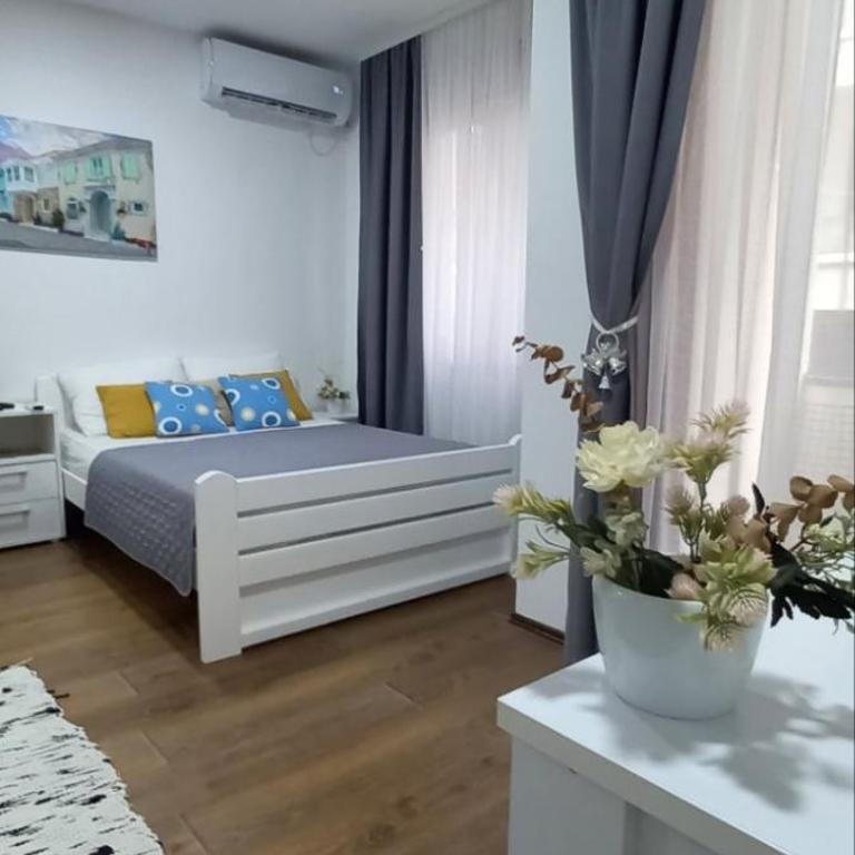 Apartman Mila 23 Vrnjačka Banja - Porodični Studio - 13