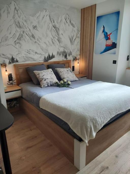Sublime Studio proche du lac avec parking privé - Appartement 1 Chambre - 11