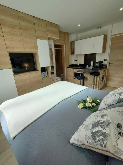 Sublime Studio proche du lac avec parking privé - Appartement 1 Chambre - 15