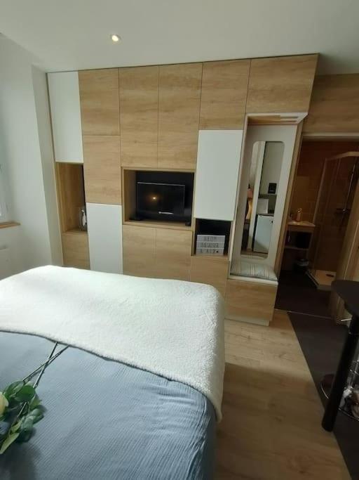 Sublime Studio proche du lac avec parking privé - Appartement 1 Chambre - 18