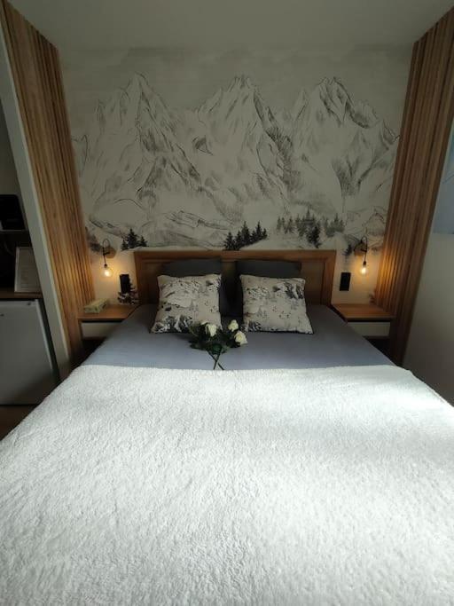 Sublime Studio proche du lac avec parking privé - Appartement 1 Chambre - 21