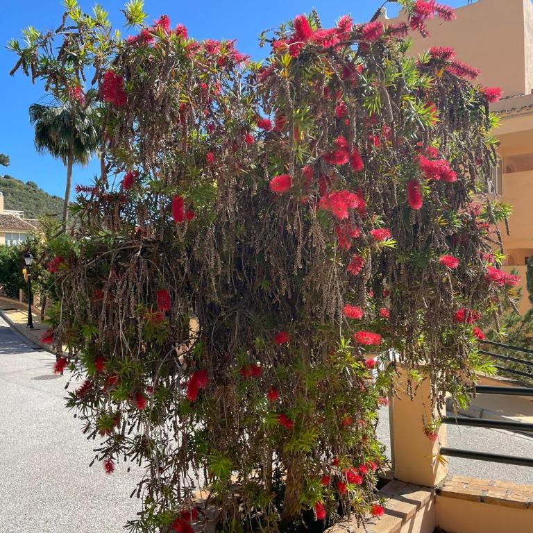 Santa Maria Village, Elviria, Marbella - Two-Bedroom Apartment - 34