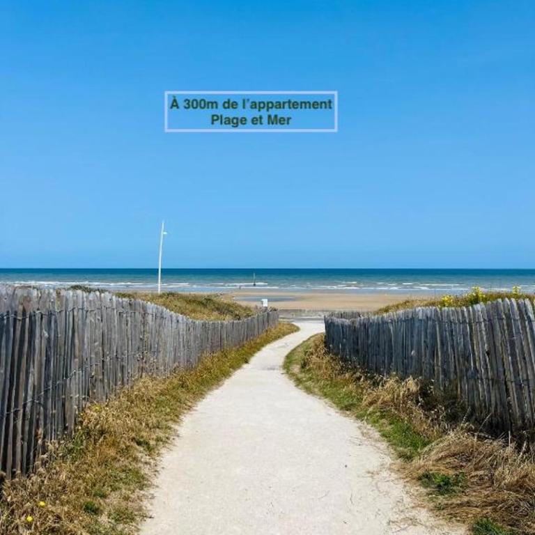 Cabourg, appartement T2 accès direct mer - Appartement 1 Chambre - 12