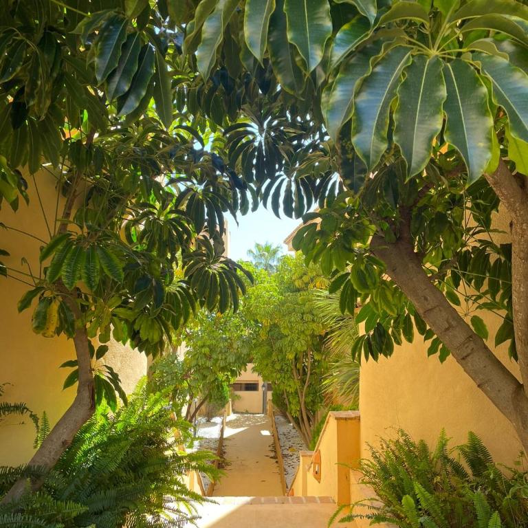 Santa Maria Village, Elviria, Marbella - Two-Bedroom Apartment - 51