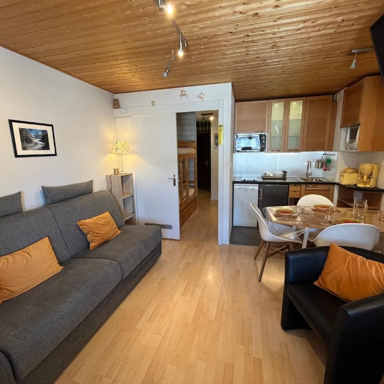 Appartement cozy aux Gets - Ski-in/Ski-out, proche centre et commodités - FR-1-623-214 - Studio - 1