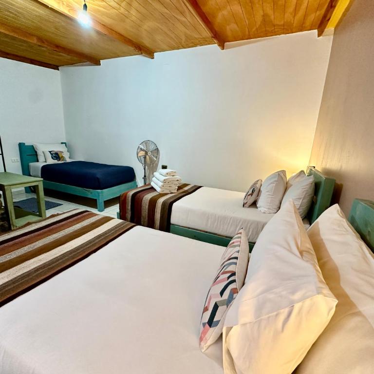 Hostal Qachi Chentura - Habitación Triple con baño privado - 5