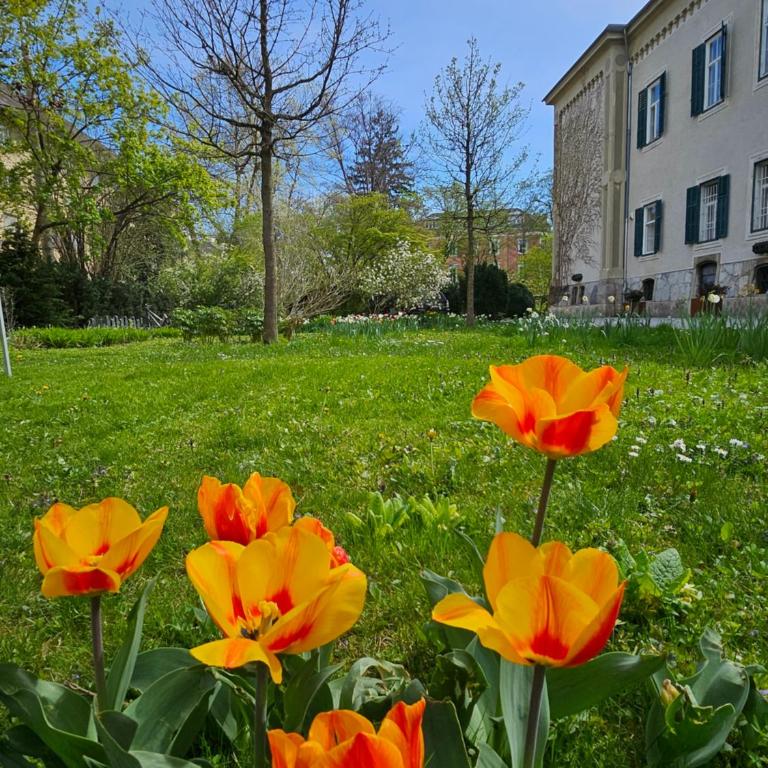 Yellow Flat by GrazRentals Vaulted Kitchen & Pet Friendly & Free Parking - Apartment mit 1 Schlafzimmer - 17