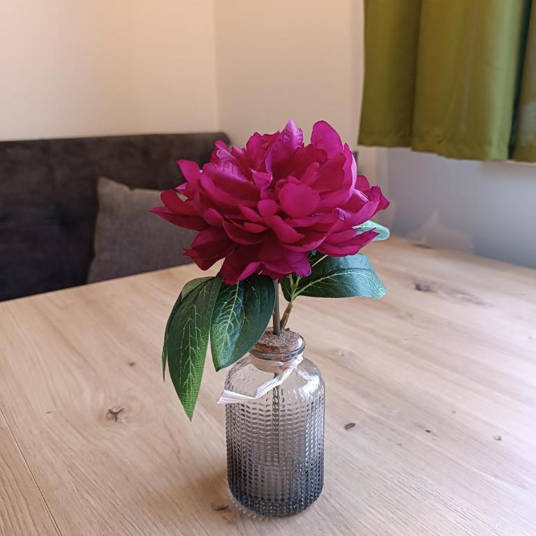 Ferienwohnung Gerlitzenblick - Apartment mit 1 Schlafzimmer - 7