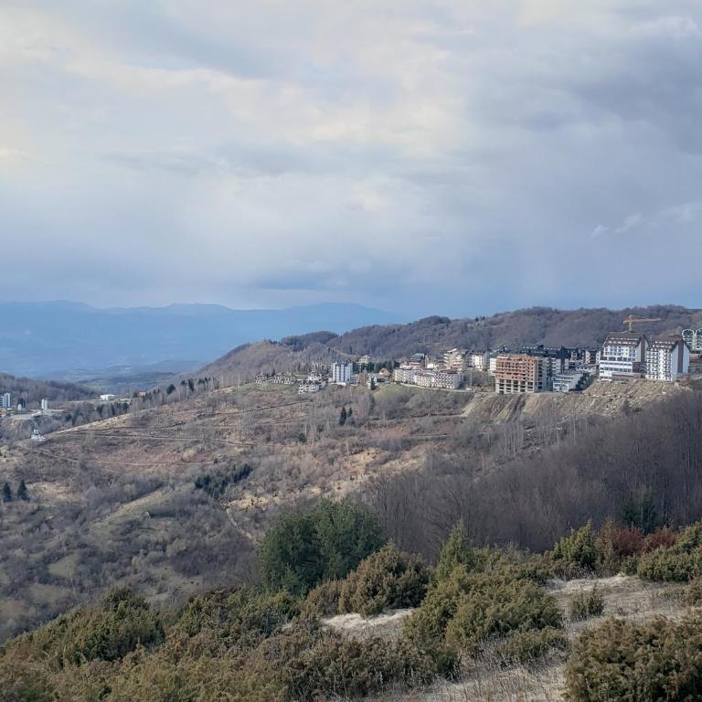 Jigy Kop - Studio with Mountain View - 33