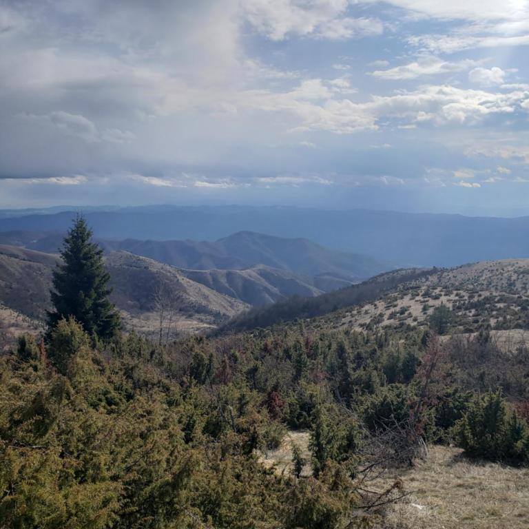 Jigy Kop - Studio with Mountain View - 38