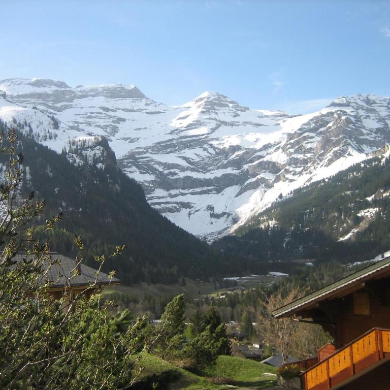 Delightful one bedroom apartment in Les Diablerets - Apartment mit 1 Schlafzimmer - 20