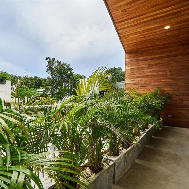 Casa Aventura Secluded Oasis 24h Security Near Sandy Beaches - Villa - 93
