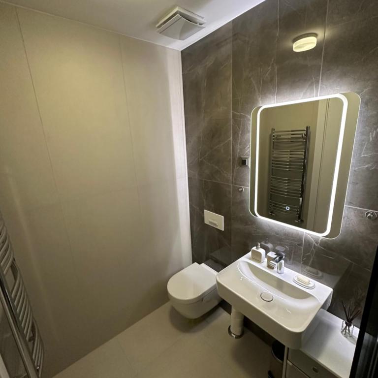 LL65 Apartments Novi Dorcol - Apartman sa 1 Spavaćom Sobom - 14