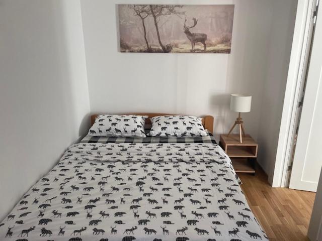Divčinova B15 - Apartman sa 1 Spavaćom Sobom - 8