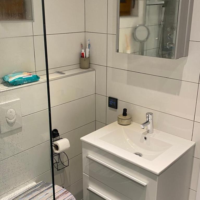 Villa LANA Krupa na Vrbasu - Kuća sa 2 Spavaće Sobe - 24