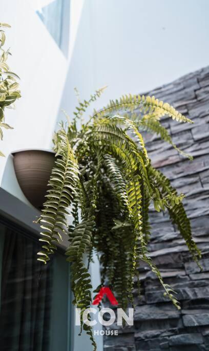 Beautiful Studio in Barranco - Apartamento de 1 dormitorio - 9