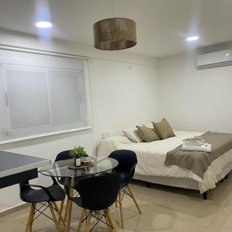 Hermoso monoambiente a estrenar pleno centro Santiago del Estero Dpto Azul - Apartamento de 1 dormitorio - 34