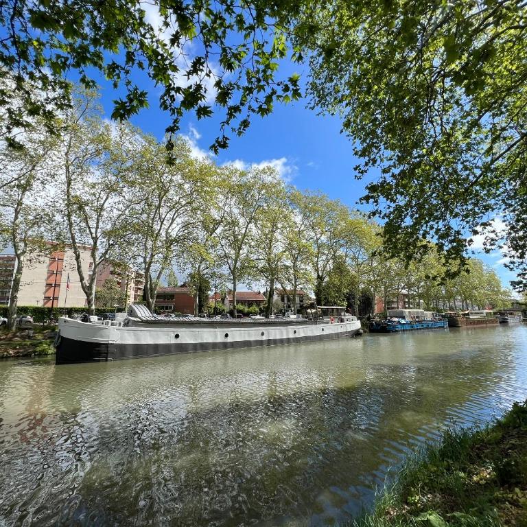 Sunset Duplex - Grand-Rond, Jardin des plantes, centre-ville, 2 BDRs 60m2, AC, Netflix - T3 60m2 avec clim - Duplex Apartment - 31