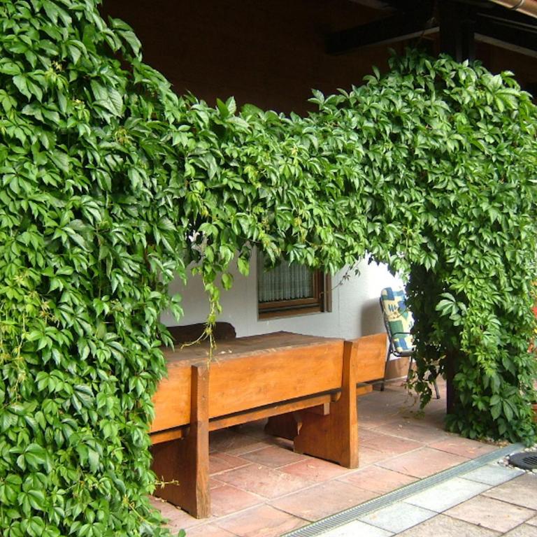 Haus Mayerbüchler - Chiemgau Karte - Apartment mit Terrasse - 2