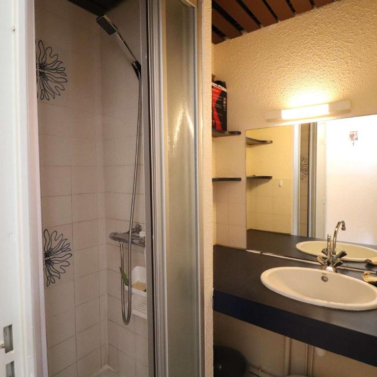 Studio avec Terrasse et Parking au Grau-du-Roi - FR-1-307-256 - Studio - 9