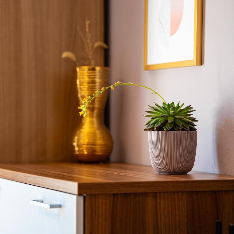 Lovely Studio with Panoramic City View - Studio - 6