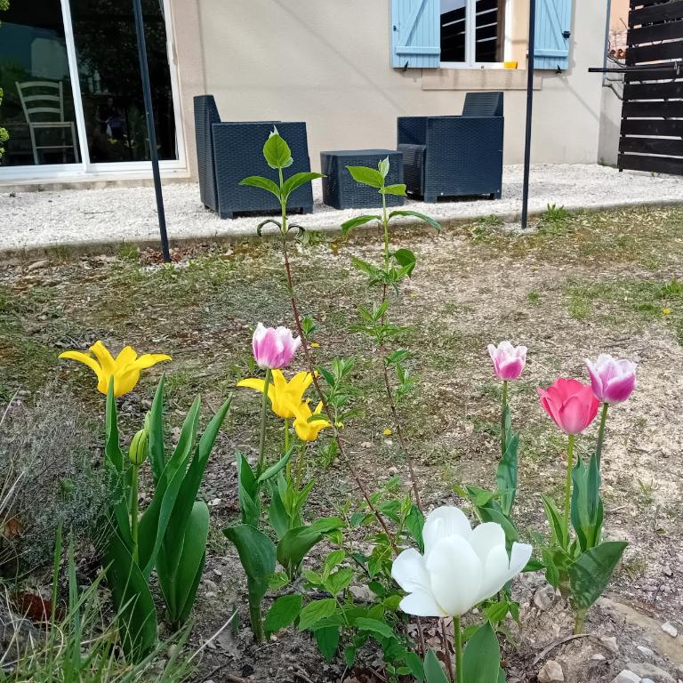Gîte SITTELLE Parking privé Linge fourni WIFI - Maison 1 Chambre - 20