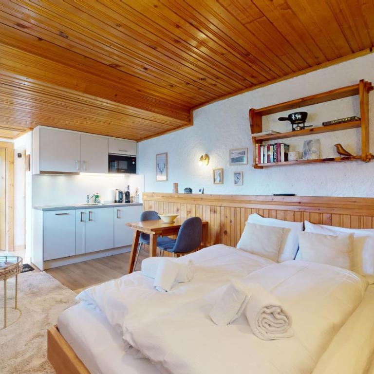 Charming alpine studio in the Val d'Anniviers - Studio mit Bergblick - 2