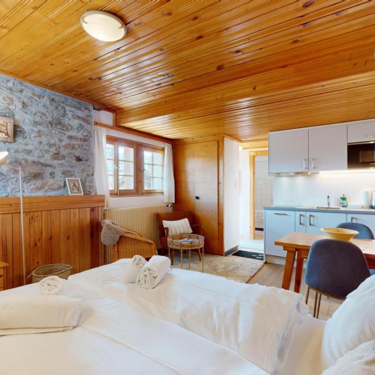 Charming alpine studio in the Val d'Anniviers - Studio mit Bergblick - 11