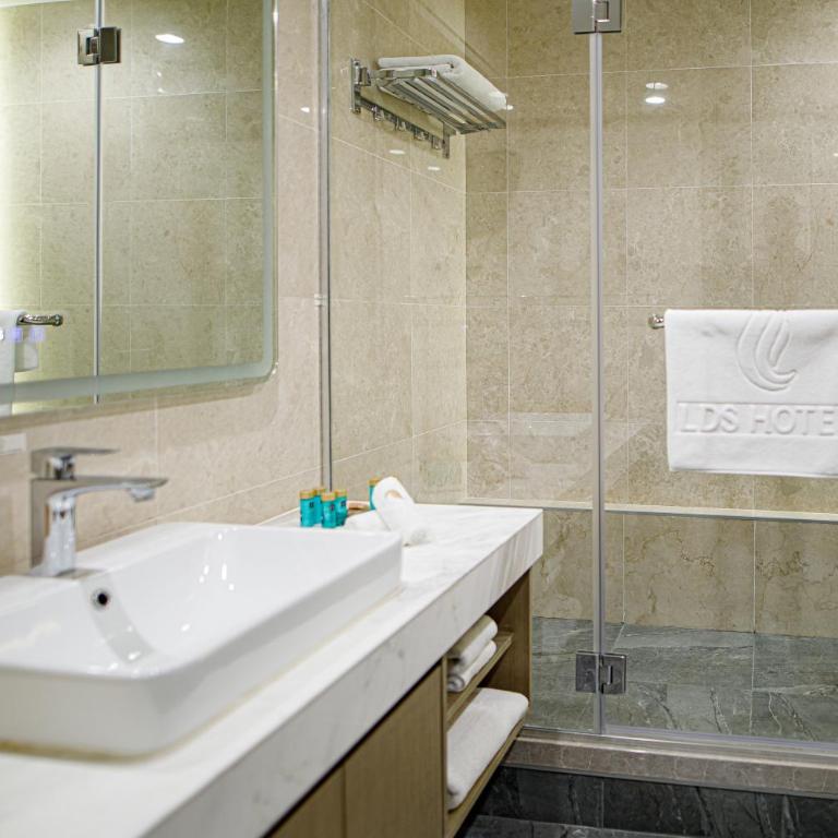 LDS Hotel Belgrade - Standardna Soba sa Bračnim Krevetom (King-size) i Besplatnim Parkingom - 8