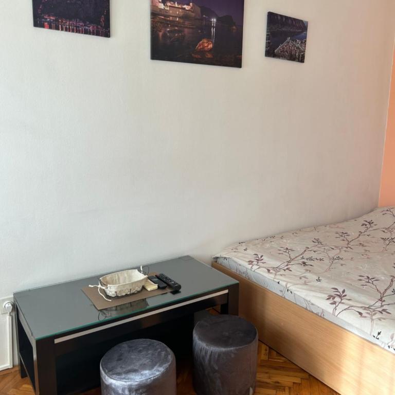 Apartments Jankovic - Apartment with Garden View - 2